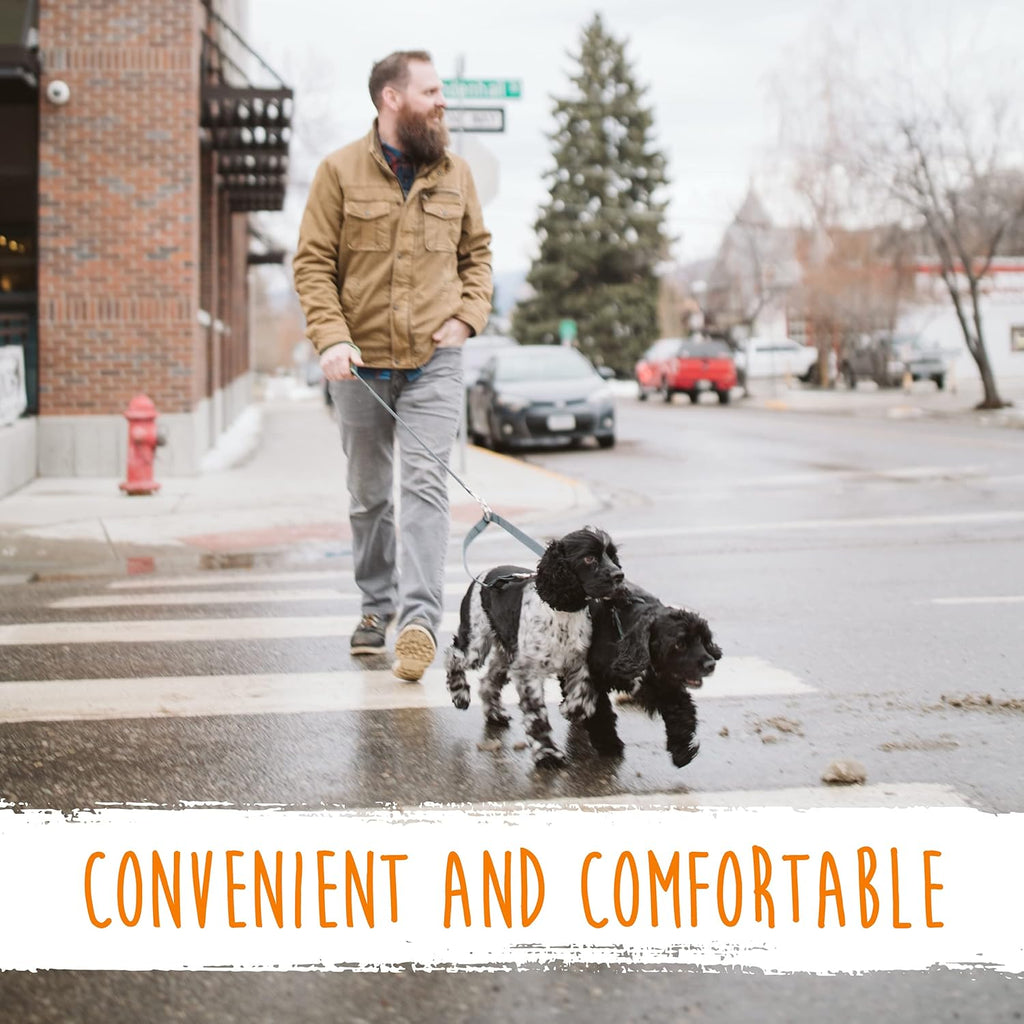 Double Dog Leash - Double Leash for Two Dogs No Tangle Design. Split Lead for 2 Pets. Adjustable to Fit All Sized Breeds. Reflective Dual Pet Lead for People with 2 Pups