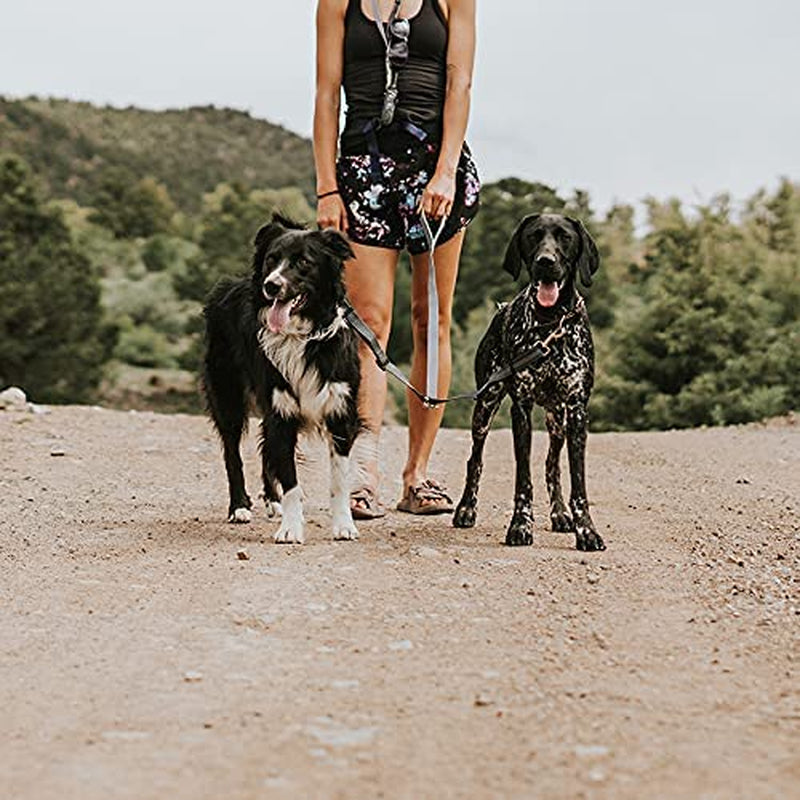 Double Dog Leash - Double Leash for Two Dogs No Tangle Design. Split Lead for 2 Pets. Adjustable to Fit All Sized Breeds. Reflective Dual Pet Lead for People with 2 Pups