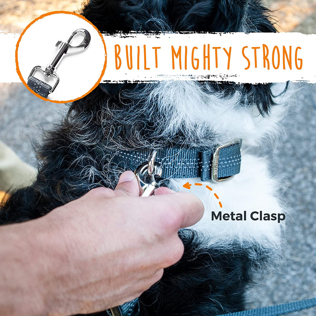 Double Dog Leash - Double Leash for Two Dogs No Tangle Design. Split Lead for 2 Pets. Adjustable to Fit All Sized Breeds. Reflective Dual Pet Lead for People with 2 Pups