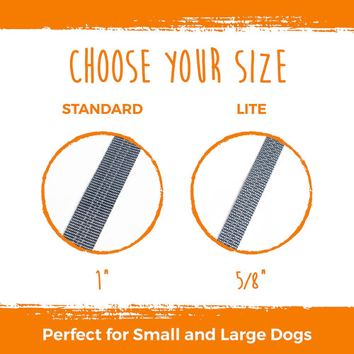 Double Dog Leash - Double Leash for Two Dogs No Tangle Design. Split Lead for 2 Pets. Adjustable to Fit All Sized Breeds. Reflective Dual Pet Lead for People with 2 Pups