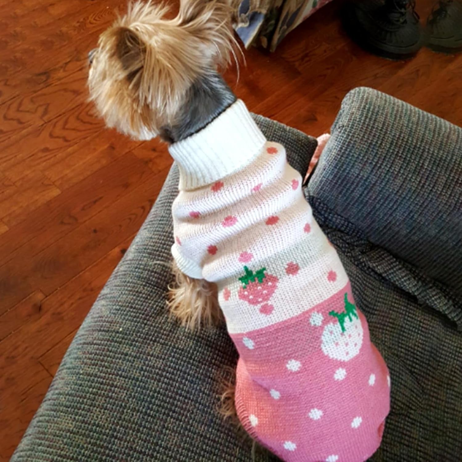 Dog Sweaters Classic Knitwear, Turtleneck Winter Warm Pet Puppy Clothes | Cute Strawberry Pattern, Lightweight & Warm Knitted Winter Sweater, Cold Weather Coat, Great for Daily Wear, Easy on & Off