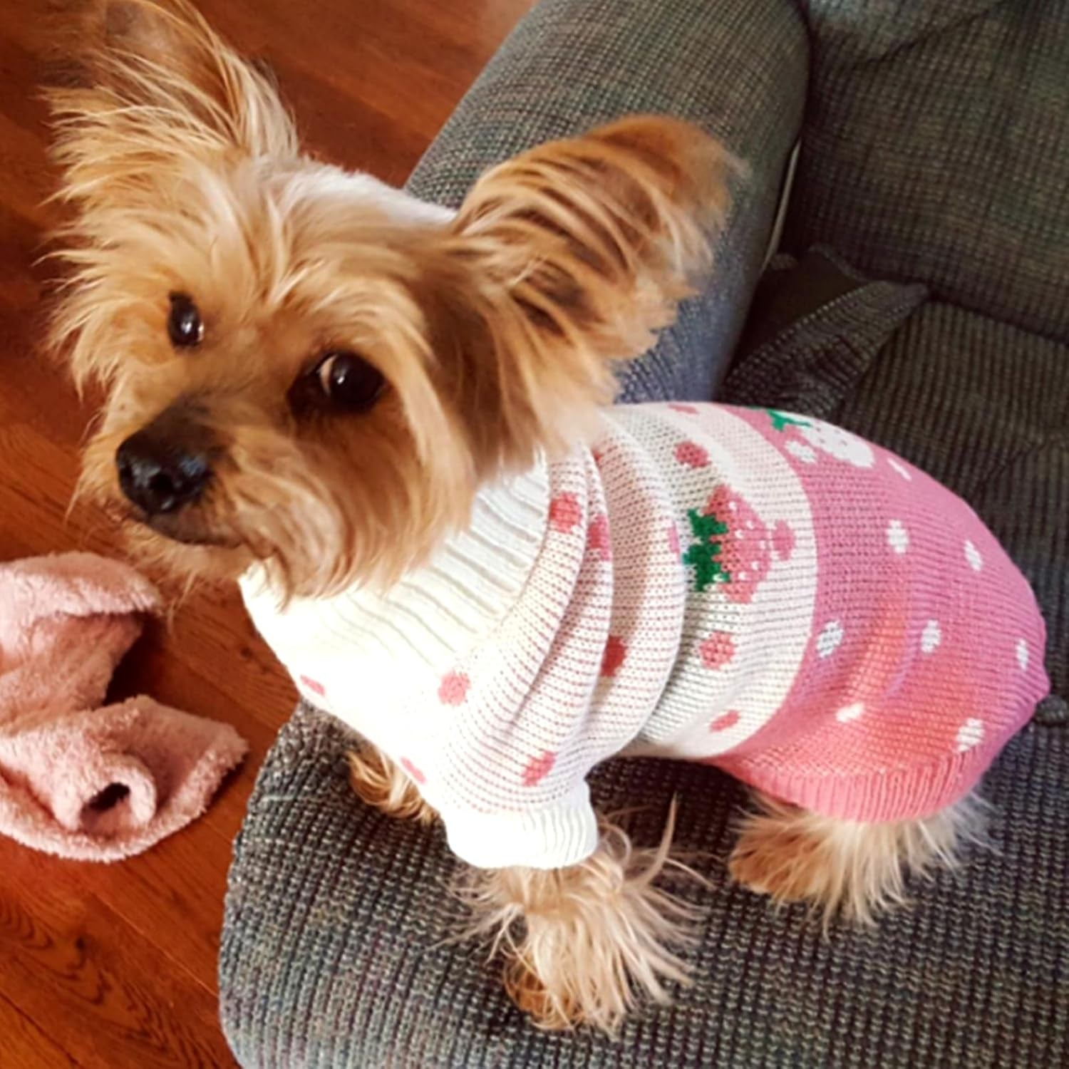 Dog Sweaters Classic Knitwear, Turtleneck Winter Warm Pet Puppy Clothes | Cute Strawberry Pattern, Lightweight & Warm Knitted Winter Sweater, Cold Weather Coat, Great for Daily Wear, Easy on & Off